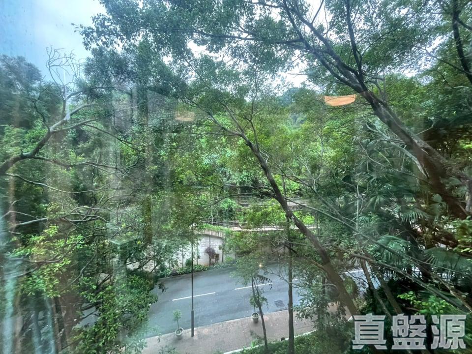 新峰花園 4期 御峰豪園 31座 - 28NTS – 香港北部都會區