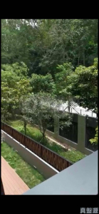天鑽 8座 - 28NTS – 香港北部都會區