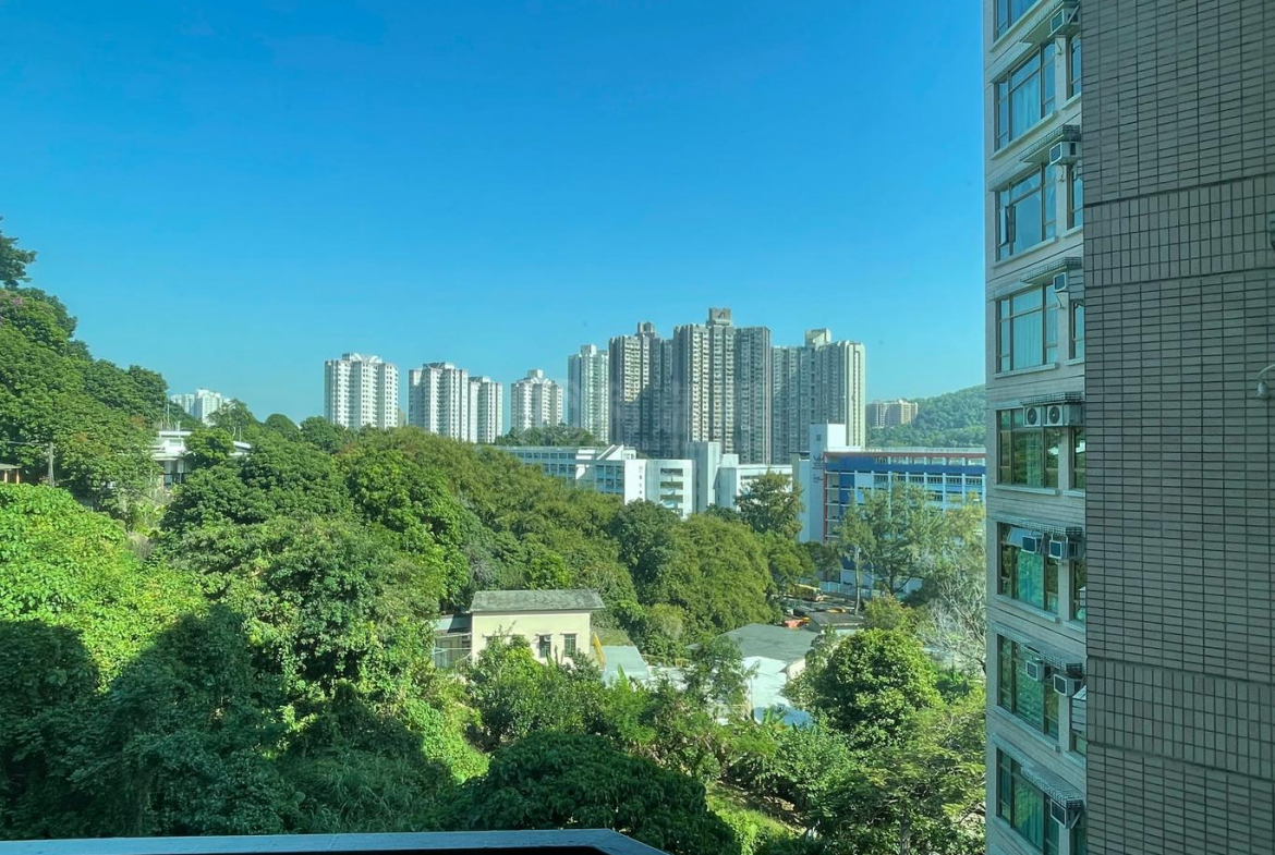 新峰花園 2期 1座 - 28NTS – 香港北部都會區