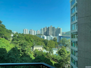 新峰花園 2期 1座 - 28NTS – 香港北部都會區