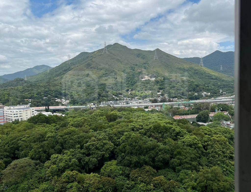 粉嶺中心 1期 B座 - 28NTS – 香港北部都會區