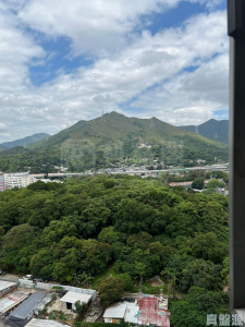 粉嶺中心 1期 B座 - 28NTS – 香港北部都會區