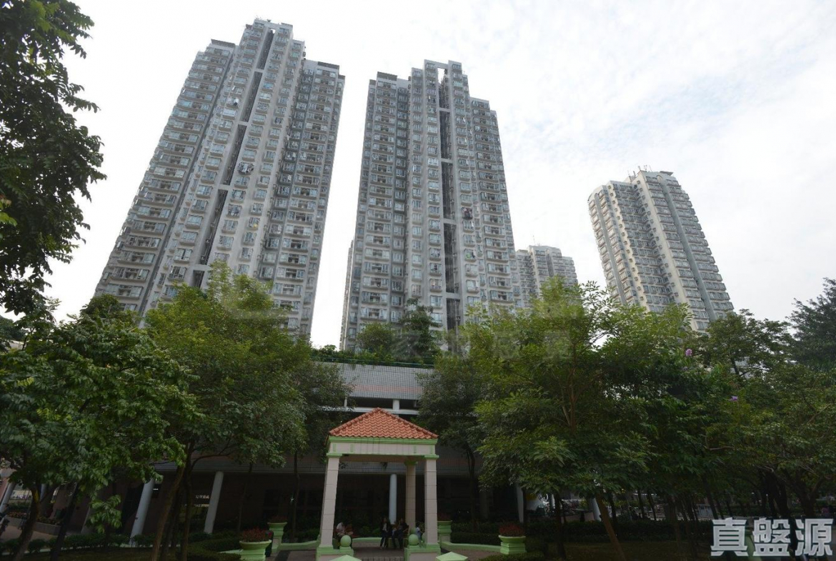 新都廣場 3座 - 28NTS – 香港北部都會區