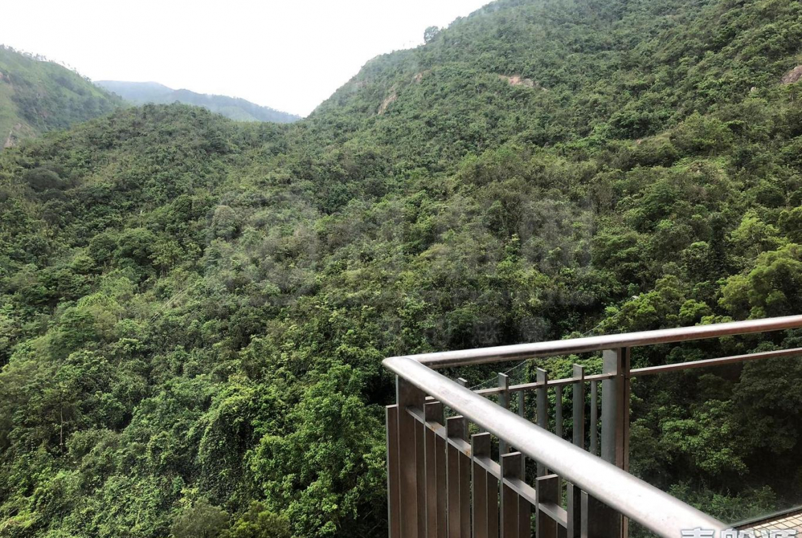 晉名峰 D座 - 28NTS – 香港北部都會區