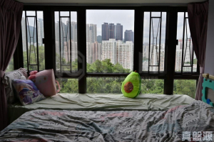 聚龍居 7座 - 28NTS – 香港北部都會區