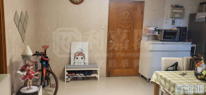 天盛苑 盛昭閣 (B座) - 28NTS – 香港北部都會區