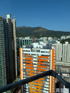 尚翠苑 B座 (翠河閣) - 28NTS – 香港北部都會區