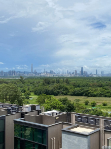 WETLAND SEASONS PARK 2期 19座 - 28NTS – 香港北部都會區