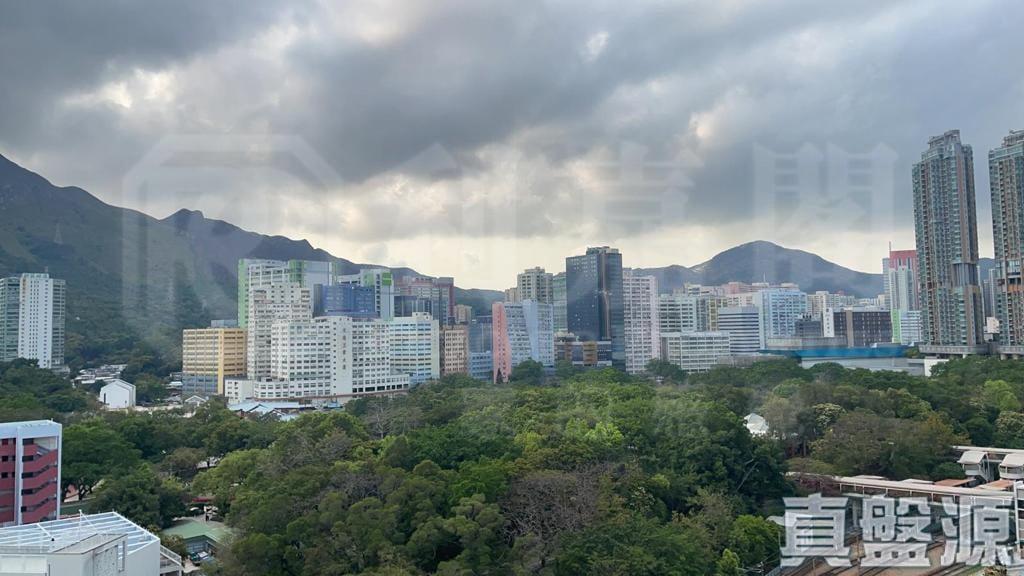兆安苑 定禧閣 (C座) - 28NTS – 香港北部都會區