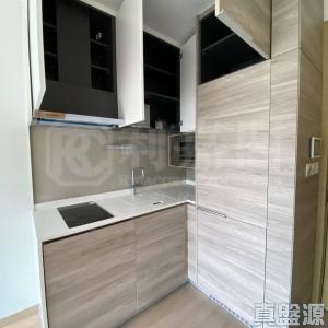 明翹匯 2A座 - 28NTS – 香港北部都會區