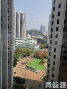 綠楊新邨 N座 - 28NTS – 香港北部都會區
