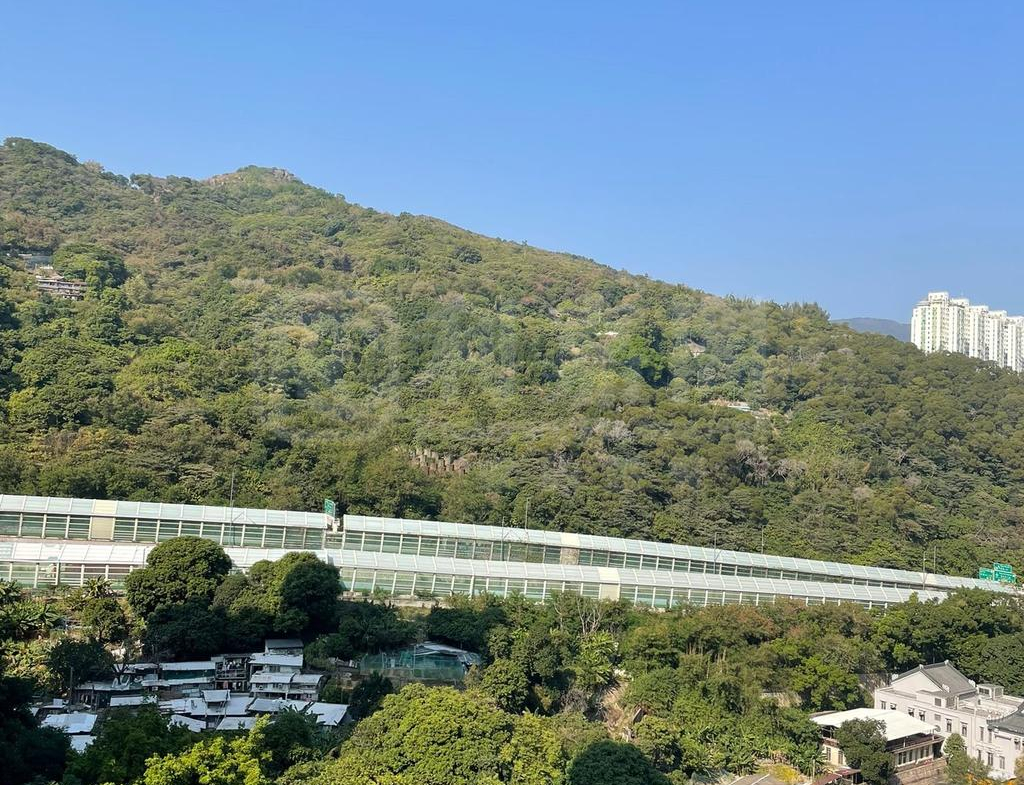 麗城花園 3期 1座 - 28NTS – 香港北部都會區