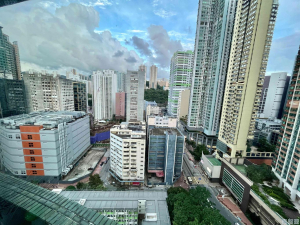 康睦庭園 2座 - 28NTS – 香港北部都會區