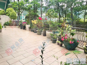 倚龍山莊 28座 - 28NTS – 香港北部都會區