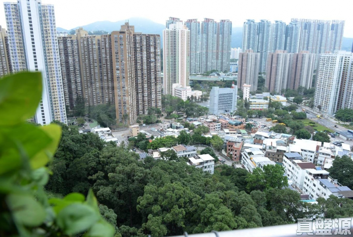 聚龍居 10座 - 28NTS – 香港北部都會區