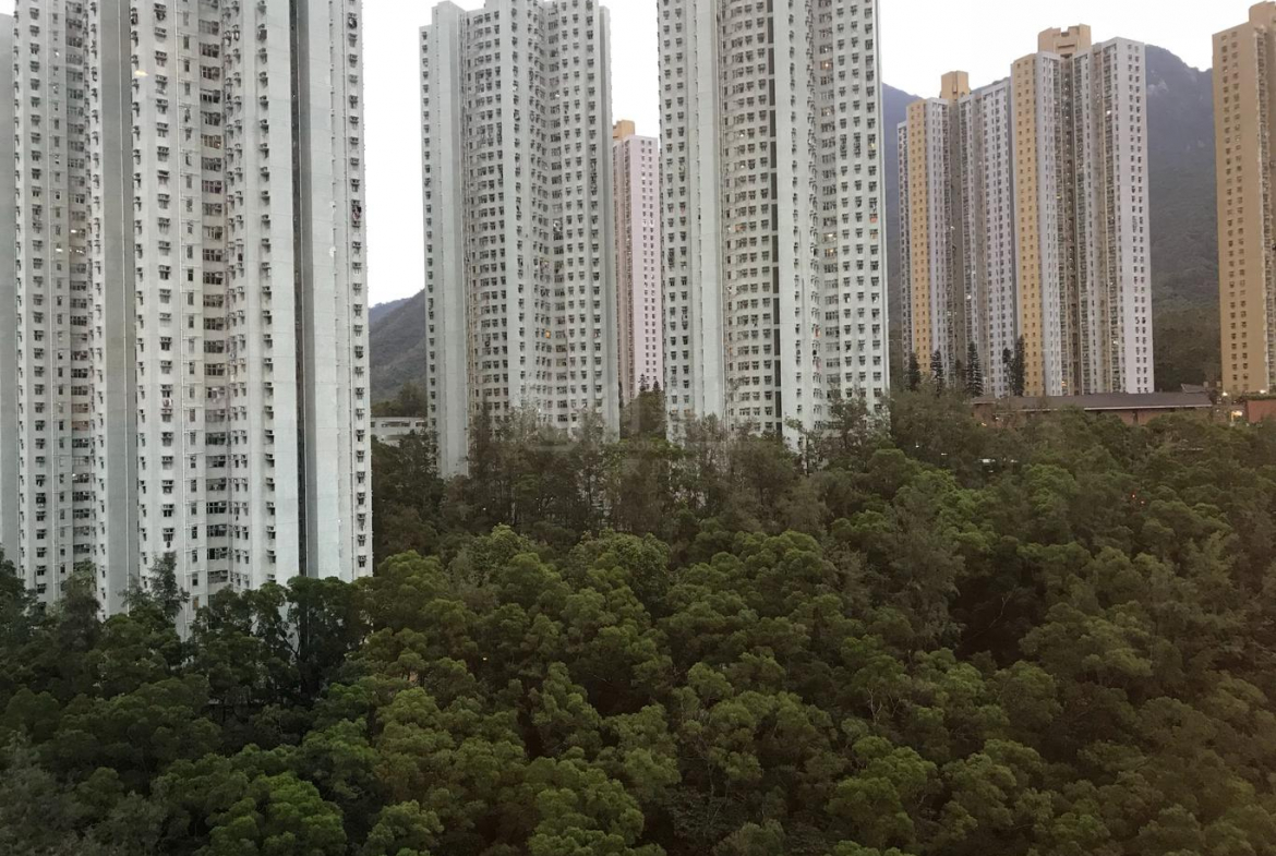 薈朗 1座 - 28NTS – 香港北部都會區
