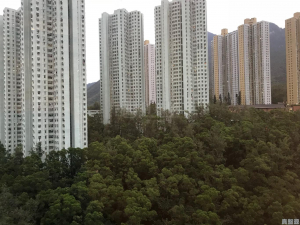 薈朗 1座 - 28NTS – 香港北部都會區