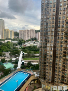 青怡花園 6座 - 28NTS – 香港北部都會區