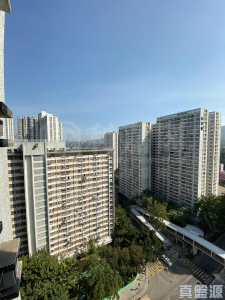 粉嶺名都 百利閣 (2座) - 28NTS – 香港北部都會區