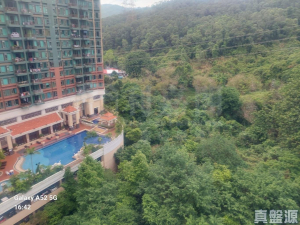 朗逸峰 - 28NTS – 香港北部都會區
