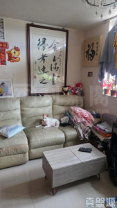 龍門居 13座 - 28NTS – 香港北部都會區