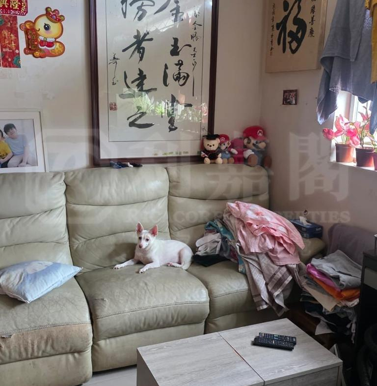 龍門居 13座 - 28NTS – 香港北部都會區