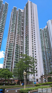 天麗苑 - 28NTS – 香港北部都會區
