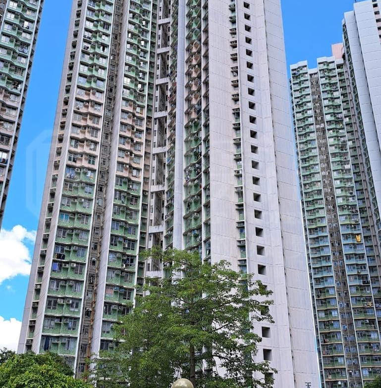 天麗苑 - 28NTS – 香港北部都會區