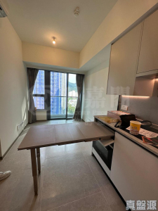 NOVO LAND 1B期 Bergen 3座 - 28NTS – 香港北部都會區