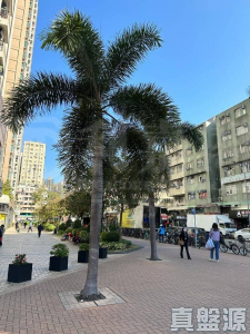 世宙 3座 - 28NTS – 香港北部都會區