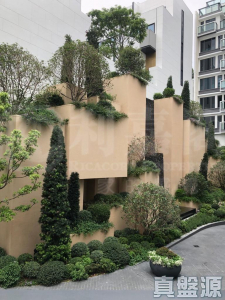 THE CARMEL - 28NTS – 香港北部都會區