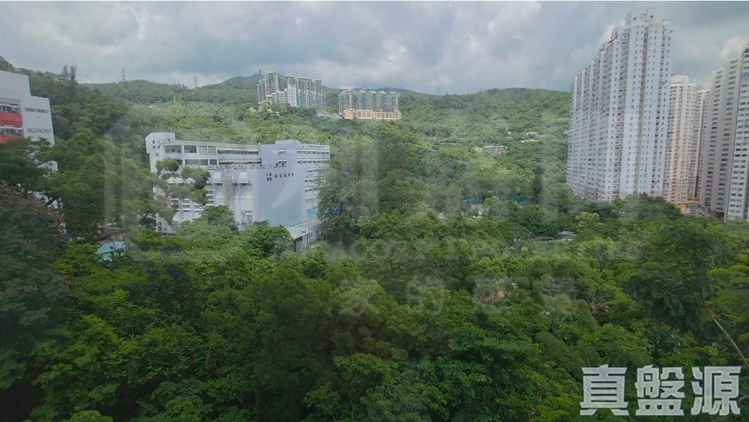 荃威花園 D座 - 28NTS – 香港北部都會區