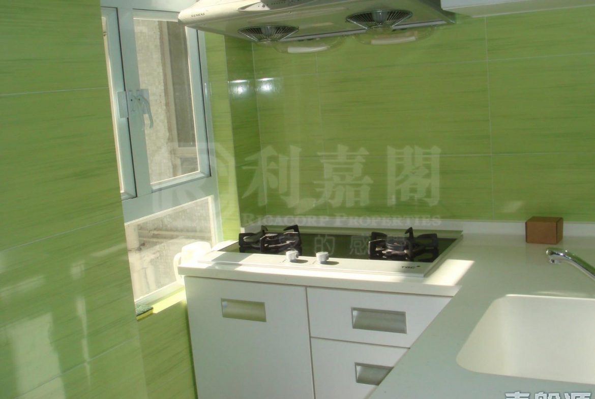 好運中心 棕林閣 (B1座) - 28NTS – 香港北部都會區