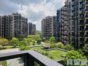 WETLAND SEASONS PARK 2期 2座 - 28NTS – 香港北部都會區
