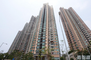 顯峯 - 28NTS – 香港北部都會區