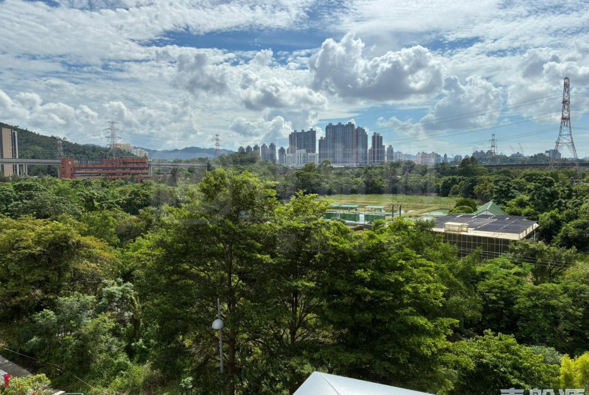 峻巒 3期 PARK YOHO BOLOGNA 8B座 - 28NTS – 香港北部都會區