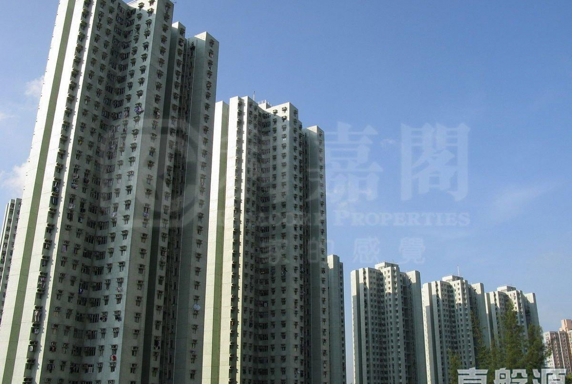 富寶花園 8座 - 28NTS – 香港北部都會區