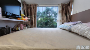 翠擁華庭 6座 - 28NTS – 香港北部都會區