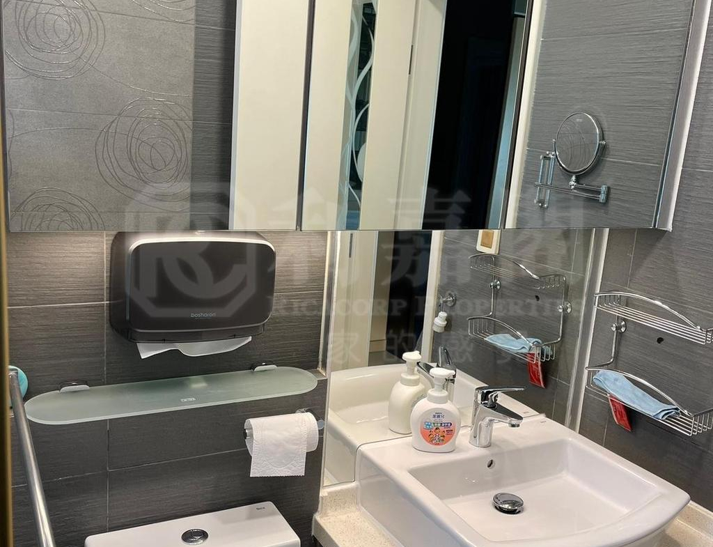 碧翠花園 24座 - 28NTS – 香港北部都會區