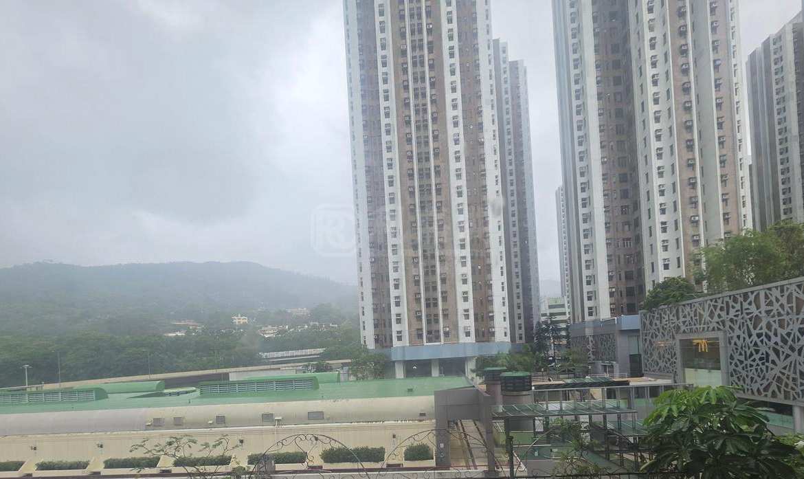 富華中心 - 28NTS – 香港北部都會區