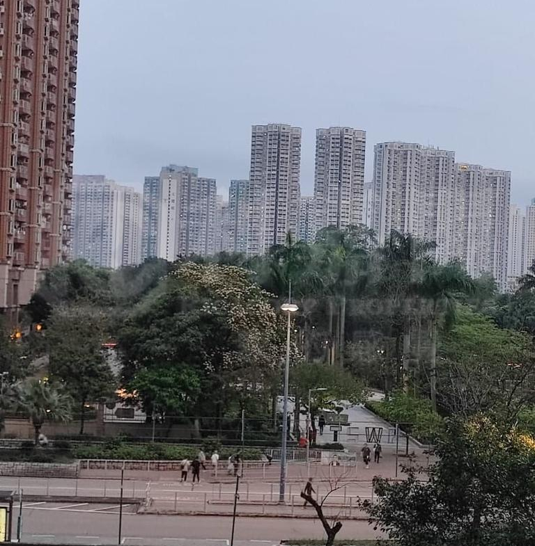 天頌苑 頌水閣 (D座) - 28NTS – 香港北部都會區