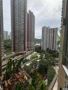 青怡花園 3座 - 28NTS – 香港北部都會區