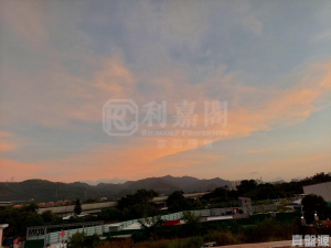 富安花苑 28座 - 28NTS – 香港北部都會區