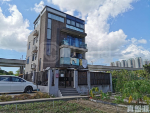 石埗村 - 28NTS – 香港北部都會區