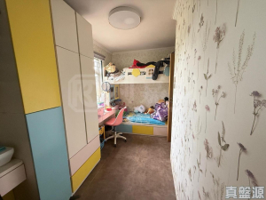 石埗村 - 28NTS – 香港北部都會區