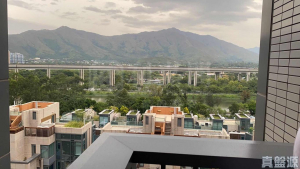 爾巒 菲利提諾大道 7座 - 28NTS – 香港北部都會區