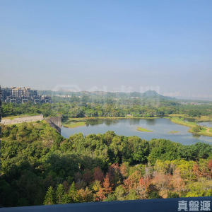 WETLAND SEASONS PARK 2期 12座 - 28NTS – 香港北部都會區