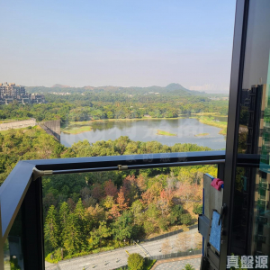 WETLAND SEASONS PARK 2期 12座 - 28NTS – 香港北部都會區