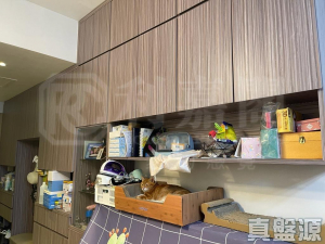 豐連 1座 - 28NTS – 香港北部都會區