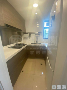 爵悅庭 西爵軒 (B1) - 28NTS – 香港北部都會區